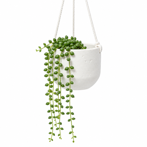 White ceramic hanging planter - clean white background